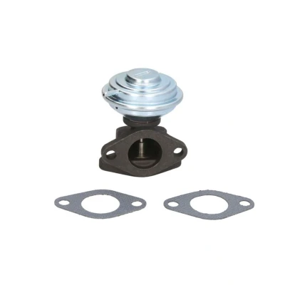 Abbildung von ENGITECH ENT500137 AGR Ventil AUDI: A4 B5 Saloon, B7 Avant, B6 VOLKSWAGEN: Passat GP Estate, Estate