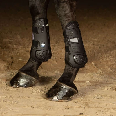 Abbildung von Harry&#039;s Horse Beinschutz Breath Schwarz Vollblut