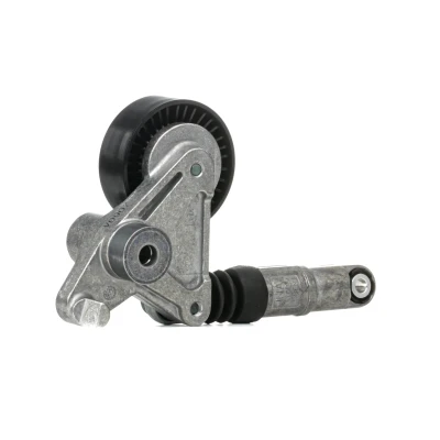 Abbildung von SKF VKM 31300 Spannrolle AUDI: A5 B8 Coupe, A8 D3, A6 C6 Avant, VOLKSWAGEN: Phaeton, Touareg II