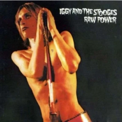 Abbildung von Raw Power [Vinyl LP]