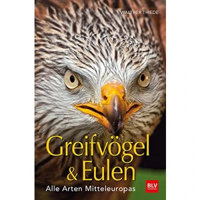 Abbildung von BLV Greifvögel &amp; Eulen: Alle Arten Mitteleuropas (BLV Vögel)