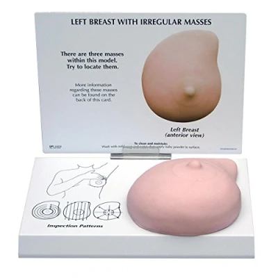 Abbildung von GPI Anatomicals W33385 Brust Modell links mit Erkrankung