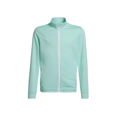 Abbildung von adidas Unisex Kinder Entrada 22 Track Jacket, clear mint, 13 14 Years