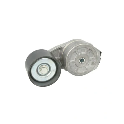 Abbildung von DAYCO APV3196 Riemenspanner