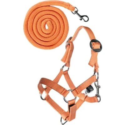 Abbildung von HKM Halfter Set Hobby Horsing Orange