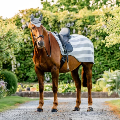 Abbildung von Horseware Newmarket Exercise Sheet