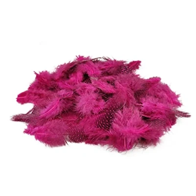 Abbildung von Netuno 150 Stück Deko Federn Rosa 6g Perlhuhn Gepunktete Schmuckfedern Vogelfedern Bastelfedern Natur für DIY Basteln Dekoration Ostern Weihnachten Dekofigur