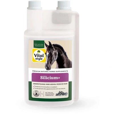Abbildung von VITALstyle Silicium+ 1L