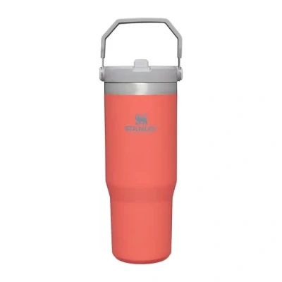 Abbildung von Stanley The IceFlow Flip Straw Tumbler 0.89L Wasserflasche