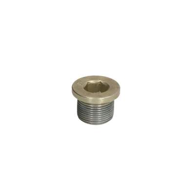 Abbildung von DT Spare Parts 4.30208 Verschlussschraube