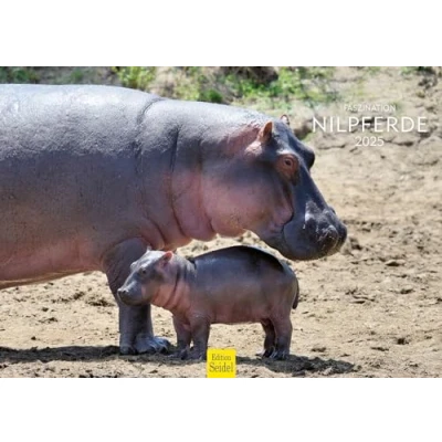 Abbildung von Edition Seidel Premium Kalender Faszination Nilpferde 2025 Format DIN A3 Wandkalender Tierkalender Afrika Nilpferd Großflusspferd Hippopotamus Nil Raubtiere Wildtiere