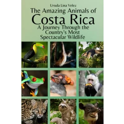 Abbildung von the Amazing Animals of Costa Rica: A Journey Through Country&#039;s Most Spectacular Wildlife