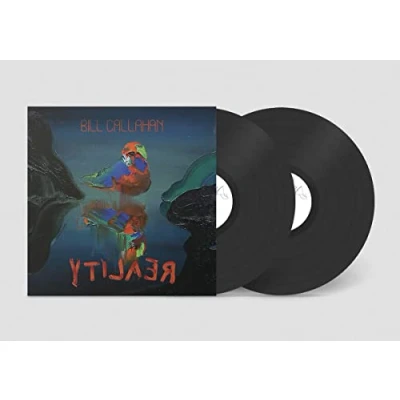 Abbildung von Ytilaer [Vinyl LP]
