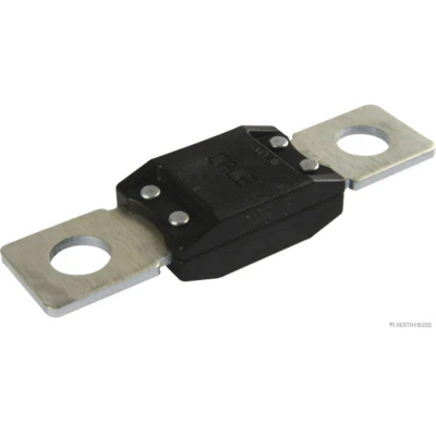 Abbildung von HERTH+BUSS ELPARTS 50295842 Sicherung schwarz 32