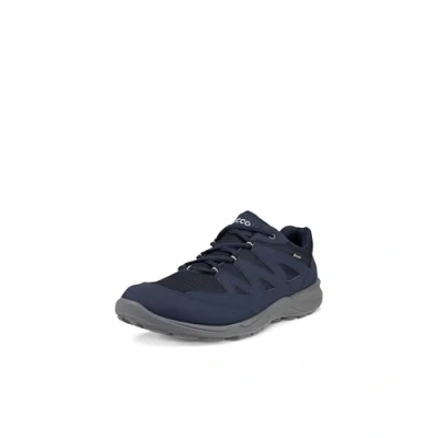 Abbildung von ECCO Herren Terracruise LT M Low GTX Outdoor Shoe, Night Sky/Night Sky, 41 EU