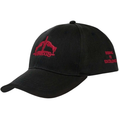 Abbildung von Veredus Cap Logo Bordeaux One Size
