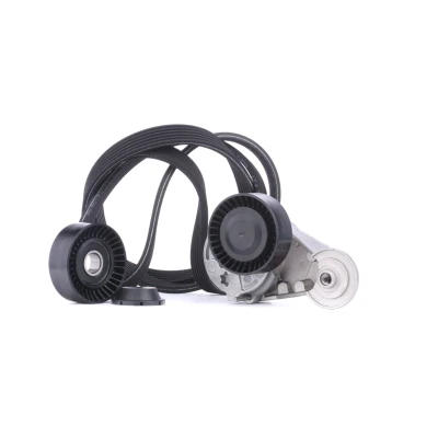 Abbildung von GATES K016DPK1838 Keilrippenriemensatz ThermalPro VOLVO: S60 I, V70 2