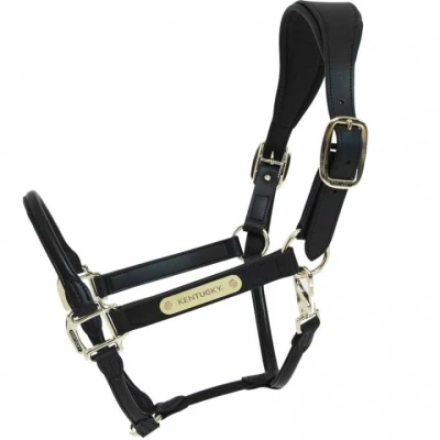 Abbildung von Kentucky Horsewear Leder Halfter Schwarz Vollblut