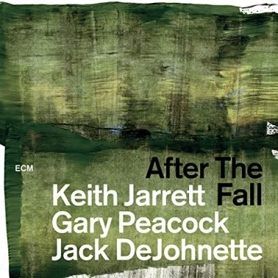 Abbildung von After the Fall