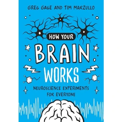 Abbildung von How Your Brain Works: Neuroscience Experiments for Everyone