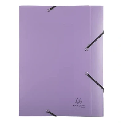 Abbildung von Exacompta 16270E Premium Sammelbox Chromaline Pastell mit Gummizug 60 mm breit aus Kunststoff Rückenschild für DIN A4 Archivbox Heftbox Dokumentenbox Zeichenbox Sammelmappe 1 Stück Zufallsfarbe