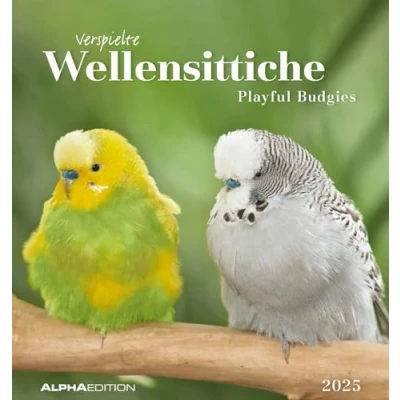 Abbildung von Wellensittiche 2025 Postkartenkalender 16x17 cm Budgies zum Aufstellen oder Aufhängen Monatskalendarium Gadget Mitbringsel Alpha Edition