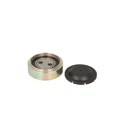Abbildung von INA 531 0307 10 Spannrolle AUDI: A4 B6/B7 Convertible, B5 Avant, B6 VOLKSWAGEN: Passat GP Estate, Saloon