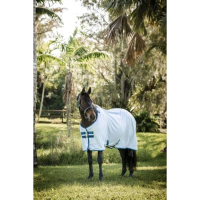 Abbildung von Amigo Bug Rug II Azure Blue/Navy/Electric BlueVerkauft von Agradi