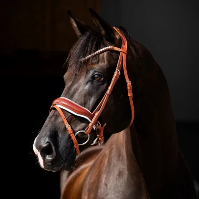Abbildung von HB Showtime Bridle Ulani