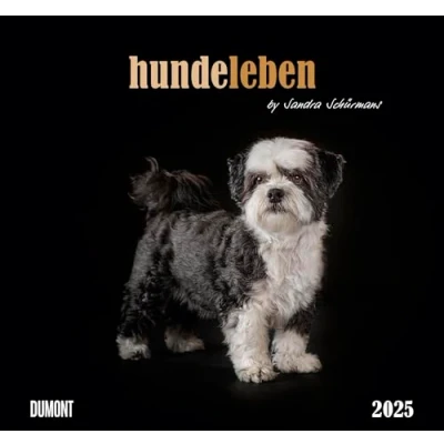 Abbildung von Hundeleben 2025 DUMONT Wandkalender mit den wichtigsten Feiertagen Format 38,0 x 35,5 cm: by Sandra Schürmans