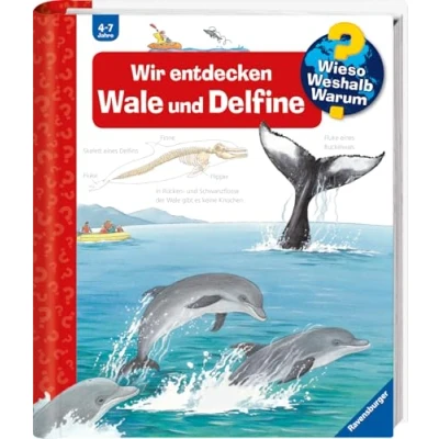 Abbildung von Wieso? Weshalb? Warum? Band 41: Wir entdecken Wale und Delfine
