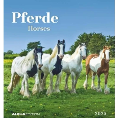 Abbildung von Pferde 2025 Postkartenkalender 16x17 cm Horses zum Aufstellen oder Aufhängen Monatskalendarium Gadget Mitbringsel Alpha Edition