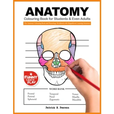 Abbildung von Anatomy Colouring Book for Students &amp; Even Adults: The and Physiology Workbook with Magnificent Learning Structure