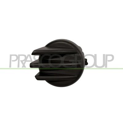 Abbildung von PRASCO FT9221250 Blende, Nebelscheinwerfer links