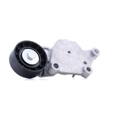 Abbildung von SNR GA359.00 Spannrolle SUZUKI: Grand Vitara 1 SUV, SWIFT 3, SX4 I Hatchback, VOLVO: V70 PEUGEOT: 206 207 SW, 1007 Hatchback