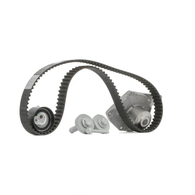 Abbildung von BOSCH 1 987 946 982 Wasserpumpe + Zahnriemensatz 123 RENAULT: CLIO 3, SCENIC 2, DACIA: Duster Off Road, SANDERO I, 2