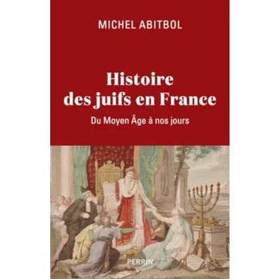 Abbildung von Histoire des Juifs en France Du Moyen Âge à nos jours: Age jours