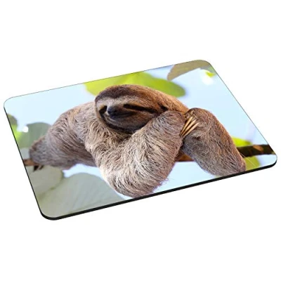 Abbildung von PEDEA Gaming und Office Mauspad 220 x 180 mm mit vernähten Rändern rutschfester Unterseite, Chilling Sloth