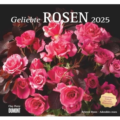 Abbildung von DUMONT Geliebte Rosen 2025 Wandkalender, 30x30cm, Kalender mit traumhaften Rosensträußen und allen wichtigen Feiertagen