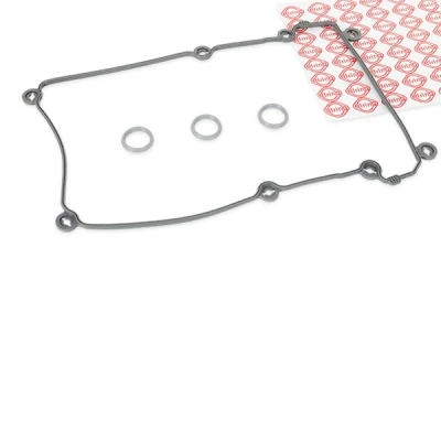 Abbildung von ELRING 246.100 Dichtungssatz, Zylinderkopfhaube rechts FORD: MONDEO 3