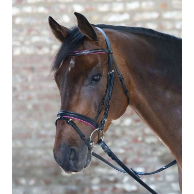 Abbildung von Star Trense Diamond Englisch Kombiniert Fuchsia Pony