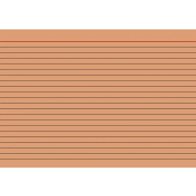 Abbildung von Brunnen 102250140 Karteikarte (A5 liniert, 100 Stück, eingeschweißt) orange