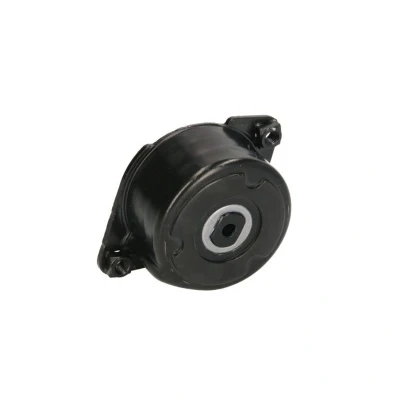 Abbildung von SNR GA350.52 Spannrolle BMW: 5 Saloon, 3 7