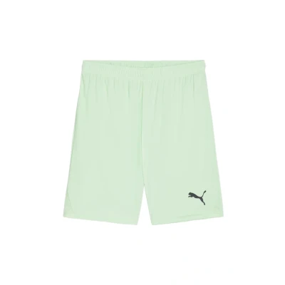 Abbildung von PUMA teamGOAL Shorts, Unisex Erwachsene Gestrickte Fresh Mint Black, 705752