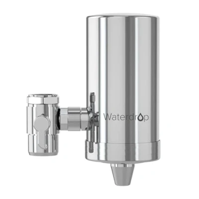 Abbildung von Waterdrop WD FC 06 Wasserfilter Wasserhahn aus Rostfreiem Stahl, Kohleblock Wasserfiltersystem, Leitungswasserfilter, Entfernt Chlor, Schwermetalle und Schlechten Geschmack (1 Filter Enthalten)