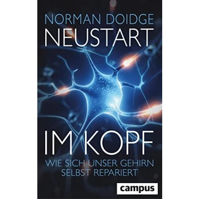 Abbildung von Neustart im Kopf: Wie sich unser Gehirn selbst repariert