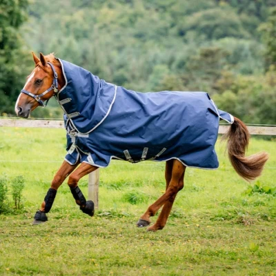 Abbildung von Horseware Weidedecke mit Kapuzenhaube Amigo Bravo 12 Plus 100g Marineblau/Grau