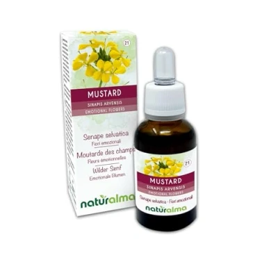 Abbildung von Mustard oder Wilder Senf (Sinapis arvensis) Bach Blüten Naturalma Tropfen 30 ml Alkoholfreier Flüssigextrakt Blütenessenzen Vegan und alkoholfrei
