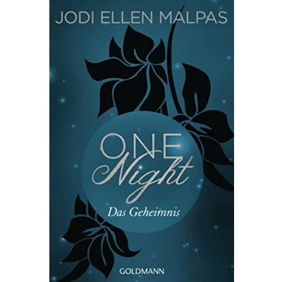 Abbildung von One Night Das Geheimnis: Erotischer Roman (Die Saga, Band 2)