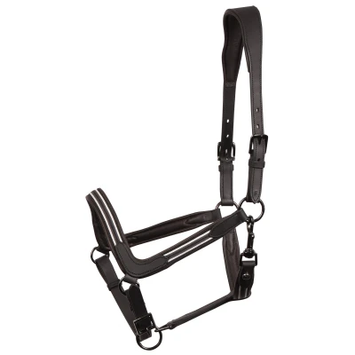 Abbildung von Harry&#039;s Horse Halfter Leder Flash SchwarzVerkauft von Agradi